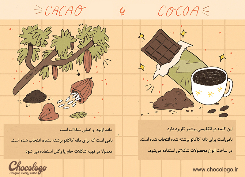 cocoa-cacao-02